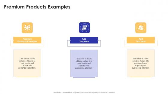 Premium Products Examples In Powerpoint And Google Slides Cpb