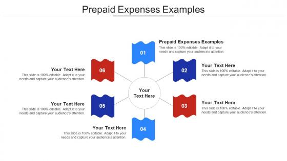 Prepaid Expenses Examples Ppt Powerpoint Presentation Styles Background Image Cpb