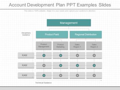 Present account development plan ppt examples slides