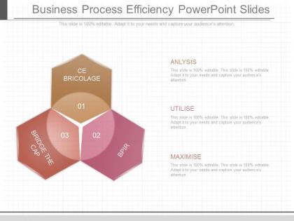 Present business process efficiency powerpoint slides