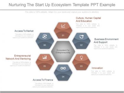 Present nurturing the start up ecosystem template ppt example