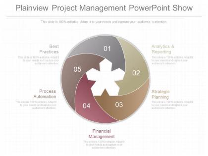 Present plainview project management powerpoint show