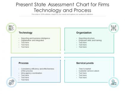 Present state assessment chart for firms technology and process