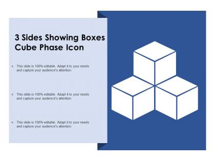 Presentation23 sides showing boxes cube phase icon