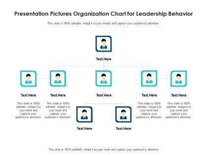 Presentation pictures organization chart for leadership behavior infographic template