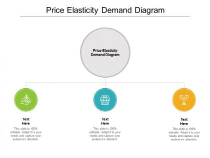 Price elasticity demand diagram ppt powerpoint presentation infographic template cpb