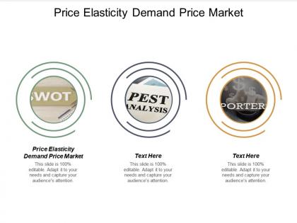 Price elasticity demand price market ppt powerpoint presentation file background cpb