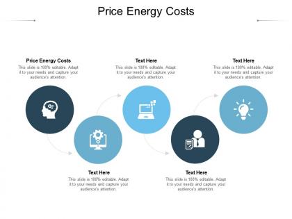 Price energy costs ppt powerpoint presentation layouts themes cpb