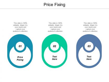 Price fixing ppt powerpoint presentation icon infographic template cpb