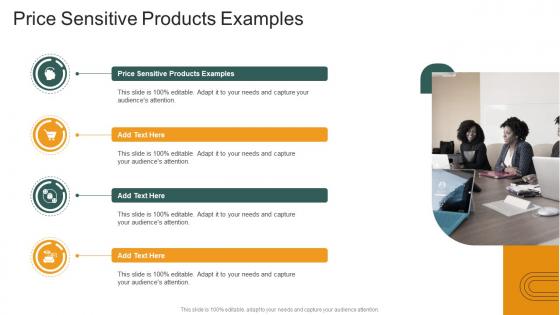 Price Sensitive Products Examples In Powerpoint And Google Slides Cpb