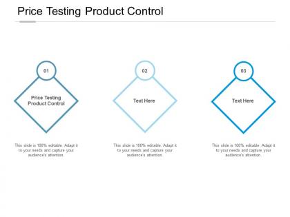 Price testing product control ppt powerpoint presentation file example cpb