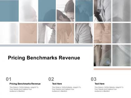 Pricing benchmarks revenue ppt powerpoint presentation professional grid cpb
