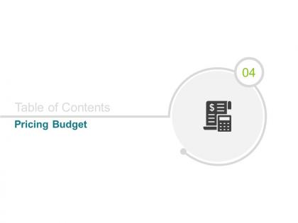 Pricing budget checklist ppt powerpoint presentation file visuals