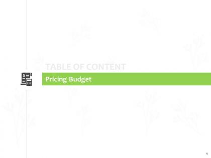 Pricing budget financial j88 ppt powerpoint presentation icon shapes