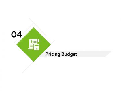 Pricing budget ppt powerpoint presentation file tips