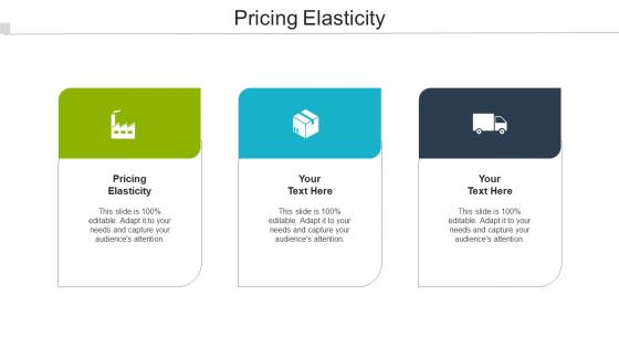 Pricing Elasticity Ppt Powerpoint Presentation Styles Designs Cpb