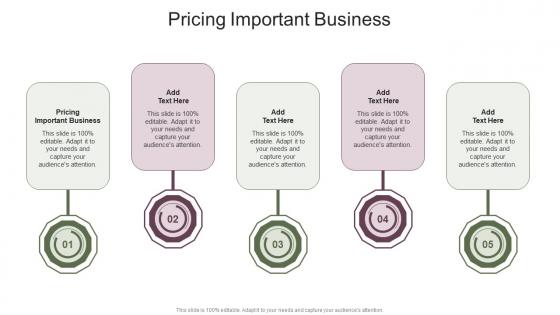 Pricing Important Business In Powerpoint And Google Slides Cpb