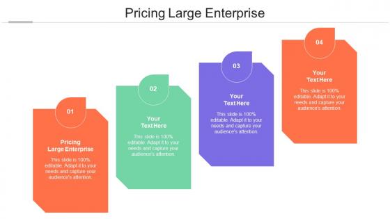 Pricing Large Enterprise Ppt Powerpoint Presentation Ideas Smartart Cpb