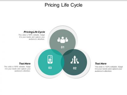 Pricing life cycle ppt powerpoint presentation portfolio slides cpb