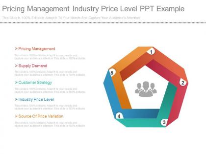 Pricing management industry price level ppt example