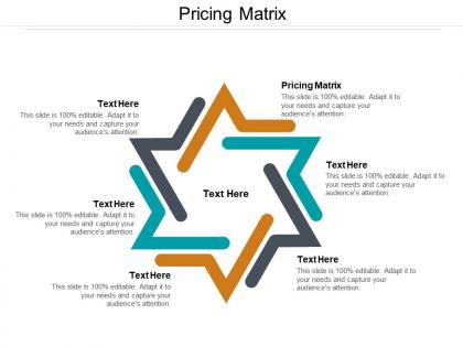 Pricing matrix ppt powerpoint presentation pictures professional cpb