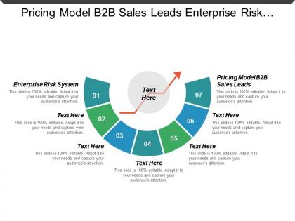 Pricing model b2b sales leads enterprise risk system cpb