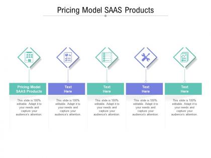 Pricing model saas products ppt powerpoint presentation outline inspiration cpb