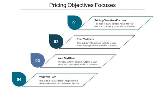 Pricing Objectives Focuses Ppt Powerpoint Presentation Ideas Templates Cpb