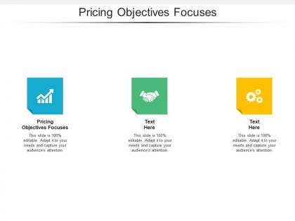 Pricing objectives focuses ppt powerpoint presentation slides themes cpb