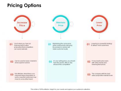 Pricing options ppt powerpoint presentation outline background