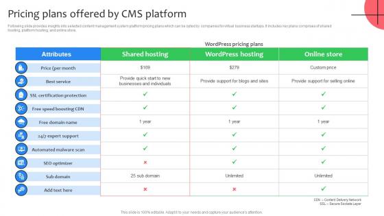 Pricing Plans Offered By CMS Platform Virtual Shop Designing For Attracting Customers