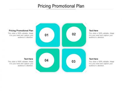 Pricing promotional plan ppt powerpoint presentation styles graphics cpb