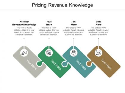 Pricing revenue knowledge ppt powerpoint presentation professional diagrams cpb