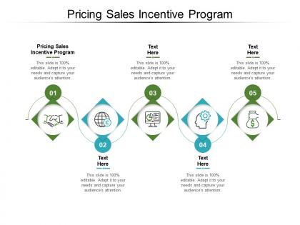 Pricing sales incentive program ppt powerpoint presentation slides background image cpb