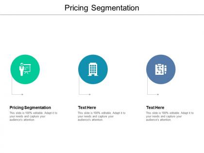 Pricing segmentation ppt powerpoint presentation summary files cpb