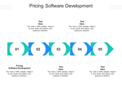 Pricing software development ppt powerpoint presentation infographics backgrounds cpb