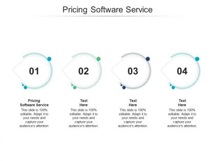 Pricing software service ppt powerpoint presentation ideas infographic template cpb