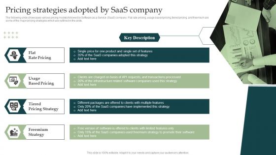 Pricing Strategies Adopted By SaaS Company Information Technology Industry Forecast MKT SS V