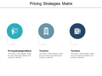 Pricing strategies matrix ppt powerpoint presentation icon deck cpb