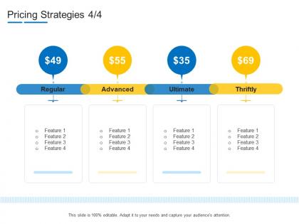 Pricing strategies regular product channel segmentation ppt summary