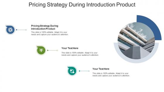 Pricing strategy during introduction product ppt powerpoint presentation infographic cpb