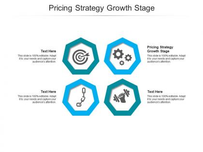 Pricing strategy growth stage ppt powerpoint presentation gallery templates cpb