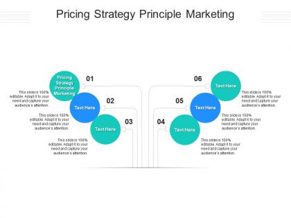 Pricing strategy principle marketing ppt powerpoint presentation outline samples cpb