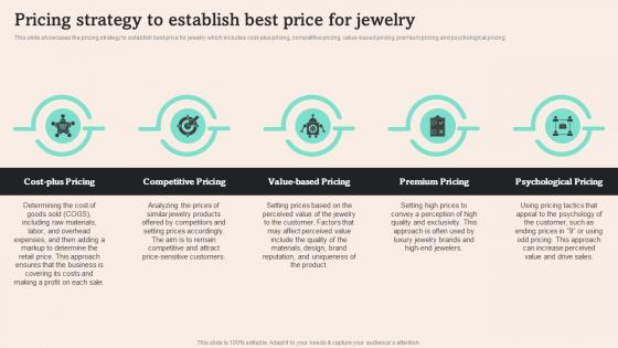 Pricing Strategy To Establish Best Price Tiffany And Co Business Plan BP SS