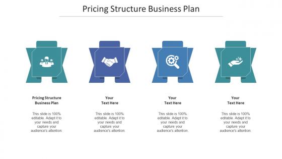 Pricing Structure Business Plan Ppt Powerpoint Presentation Portfolio Graphics Design Cpb