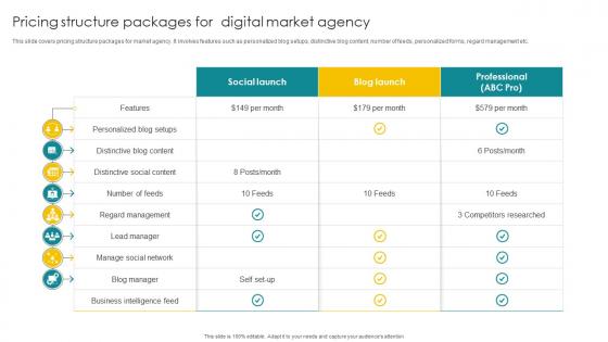 Pricing Structure Packages For Digital Market Agency