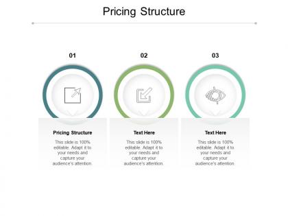 Pricing structure ppt powerpoint presentation slides influencers cpb