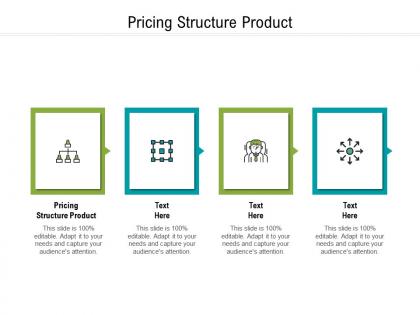 Pricing structure product ppt powerpoint presentation styles cpb
