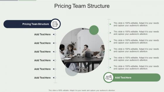 Pricing Team Structure In Powerpoint And Google Slides Cpb