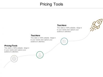 Pricing tools ppt powerpoint presentation professional example file cpb